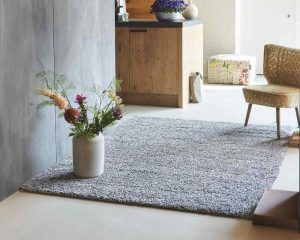Rugs on the Carpet